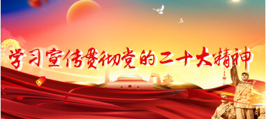 學習宣傳貫徹黨的二十大精神